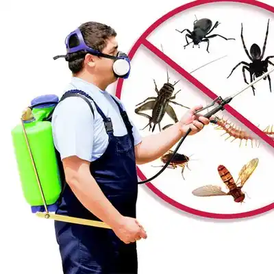 pest control West Salem
